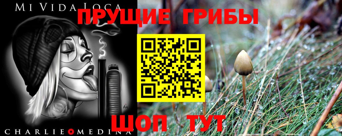 Псилоцибиновые грибы ЛСД Советск